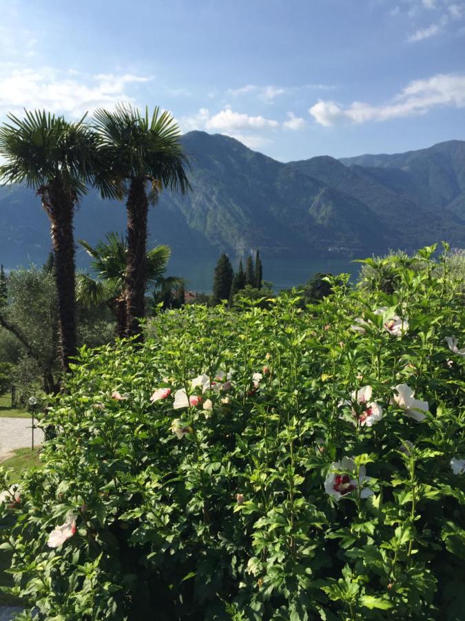 Residenza Margherita Tremezzo Zewnętrze zdjęcie